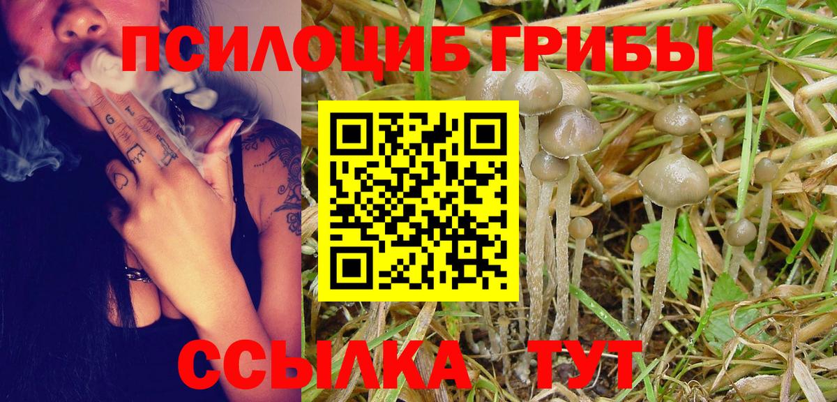 Галлюциногенные грибы Cubensis Азнакаево